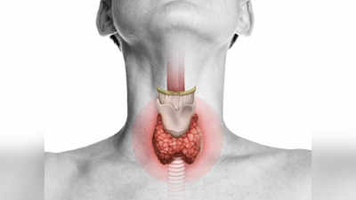 Thyroids Symptoms in Men: पुरुषों की फर्टिलिटी खत्म करता है थायरॉइड, मगर पहले दिखते हैं 5 चेतावनी भरे लक्षण