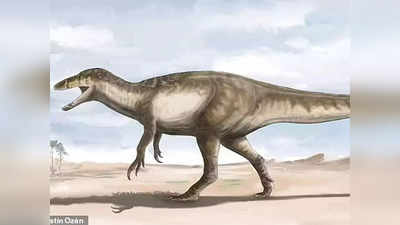 Dinosaur Found: चिली में एक साथ मिले 4 विशाल शिकारी डायनासोर के जीवाश्‍म, धरती के राजा को देख दुनिया हैरान