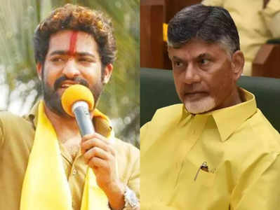 NTR: జూనియర్ ఎన్టీఆర్‌తో చంద్రన్న మాస్టర్ ప్లాన్.. పవన్ కూడా పాత్రధారుడే!