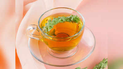 Green Tea के सेवन से मोटापा हो सकता है कम, लाइफस्टाइल को बनाएं हेल्दी और फिट
