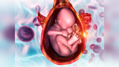 गर्भ के अंदर इस एक चीज से मिलता है बेबी को खाना, ना हो तो शायद पनप नहीं पाएगा बच्‍चा