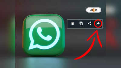 WhatsApp New Feature: হোয়াটসঅ্যাপে সকাল বিকেল মেসেজ ফরওয়ার্ড করেন? নয়া ফিচারে মুশকিল আসান