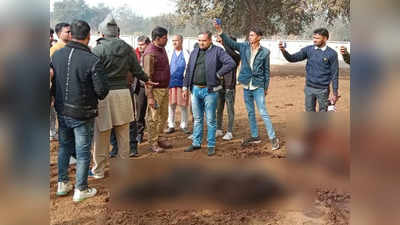 सैकड़ों गोवंश की गई जानें, रातोराज जंगल में दफना भी दिया! गोशाला संचालक, ग्राम अधिकारी पर FIR