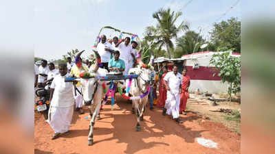 மாட்டு வண்டி ஓட்டி அசத்திய மாவட்ட ஆட்சியர்... திருச்சி மக்கள் உற்சாக ஆரவாரம்!