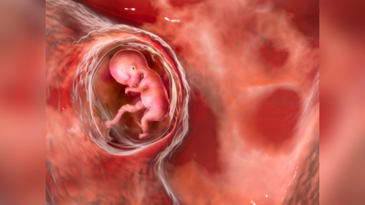 Fetal development : गर्भ के अंदर इस हफ्ते से शुरू होते हैं बेबी के हाथ और उंगलियां बनना, जानें कैसे चलता है डेवलपमेंट का पूरा प्रोसेस
