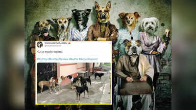 उधर कुत्ते मूवी रिलीज हुई, इधर यूजर्स कुत्तों के फनी वीडियो शेयर करने लगे