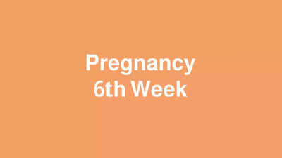 6 Weeks Pregnant: കുഞ്ഞിൻ്റെ ഹൃദയമിടിപ്പ് മുതൽ തലച്ചോറിൻ്റെ വളർച്ച വരെ ആരംഭിക്കുന്ന ആറാം ആഴ്ച