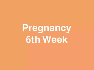 6 Weeks Pregnant: കുഞ്ഞിൻ്റെ ഹൃദയമിടിപ്പ് മുതൽ തലച്ചോറിൻ്റെ വളർച്ച വരെ ആരംഭിക്കുന്ന ആറാം ആഴ്ച