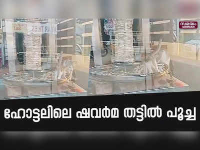 പയ്യന്നൂരിൽ ഹോട്ടലിലെ ഷവർമ തട്ടിൽ കയറി ഷവര്‍മ കഴിക്കുന്ന പൂച്ചകൾ  