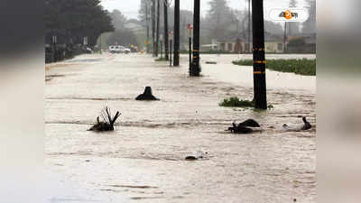 California Flood : মা সব ঠিক আ...ছে, আশ্বাস দিয়েই জলের তোড়ে ভেসে গেল একরত্তি