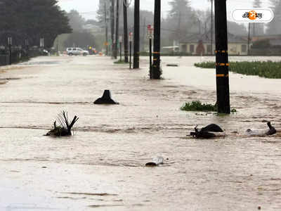 California Flood : মা সব ঠিক আ...ছে, আশ্বাস দিয়েই জলের তোড়ে ভেসে গেল একরত্তি