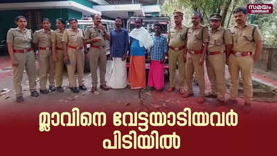 ചെന്നായ്ക്കള്‍ ഓടിച്ച്‌ മ്ലാവിനെ പിടികൂടി കറിവച്ച കേസില്‍ മൂന്ന് പേര്‍ അറസ്റ്റില്‍ 