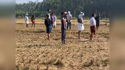 വയനാട്ടിലെ കടുവയെ മയക്കുവെടിവെച്ചു; പ്രദേശത്ത് നിരോധനാജ്ഞ പ്രഖ്യാപിച്ചു