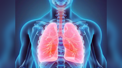 Healthy Lungs: ശ്വാസകോശം ക്ലീൻ ആക്കാൻ ഇതാ ഫലപ്രദമായ 5 മാർഗ്ഗങ്ങൾ