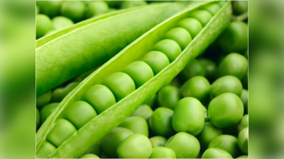 Green Peas: ಈ ಸಮಸ್ಯೆ ಇರುವವರು ಹಸಿರು ಬಟಾಣಿಯನ್ನು ತಿನ್ನಬಾರದು