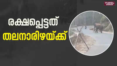 ആക്രമിച്ചത് നിരവധി പേരെ കൊലപ്പെടുത്തിയ കാട്ടാന