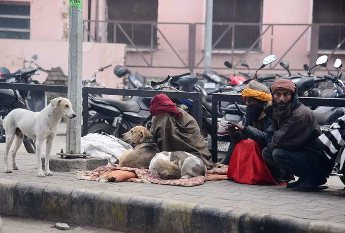 इंसान तो इंसान, जानवर भी ठंड से परेशान