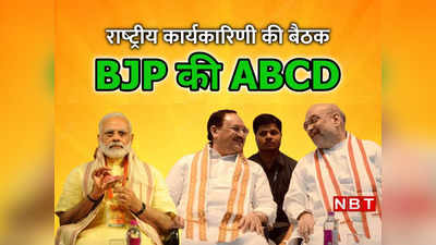 BJP की पूरी ABCD: क्या है राष्ट्रीय कार्यकारिणी? पार्टी कैसे करती है सबसे बड़े फैसले, जानिए