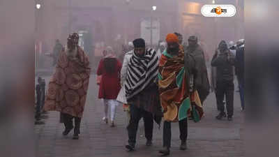 Delhi Cold Wave: পারদ নামল ১.৪ ডিগ্রিতে, প্রবল শৈত্যপ্রবাহে হলুদ সতর্কতা জারি দিল্লিতে