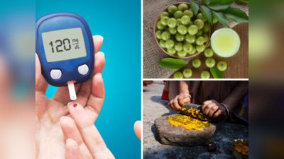 Ayurvedic Diabetes Medicine: डायबिटीज को 80% खत्म कर देगी ये आयुर्वेदिक जड़ी बूटी, Ayurveda डॉ. ने बताया कैसे लें