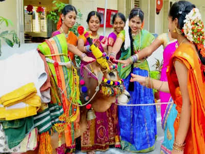 kanuma festival 2023 కనుమ రోజున కనీసం పొలిమేర కూడా దాటొద్దంటారు... ఎందుకో తెలుసా...