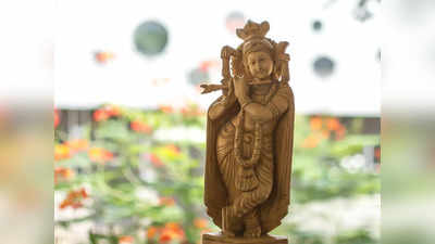 Krishna Puja: মাঘ মাসে কৃষ্ণ পুজোয় মিটবে শনির দোষ, দুঃখ-দুর্দশা! আপনিও জানুন