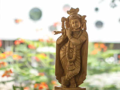 Krishna Puja: মাঘ মাসে কৃষ্ণ পুজোয় মিটবে শনির দোষ, দুঃখ-দুর্দশা! আপনিও জানুন