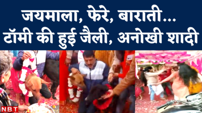 Viral Video: अलीगढ़ में अनोखी शादी, टॉमी बना दूल्हा, जैली बनी दुल्हन और जमकर नाचे बाराती
