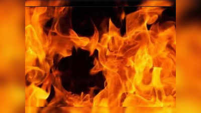 Rewa: घर में आग लगने से मां-बेटा जिंदा जले, सिलेंडर फटने की आशंका