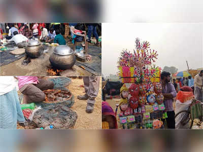 Winter Festival In West Bengal: শীতের মিঠে রোদে স্পেশাল আলুরদম আর জ্যান্ত কাঁকড়ার মেলায় উপছে পড়া ভিড়