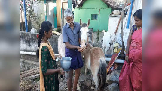 மாட்டுப் பொங்கல் தெரியும்.. இது என்ன குதிரை பொங்கல்?.. சிறுமலையில் நடக்கும் வினோதம்!