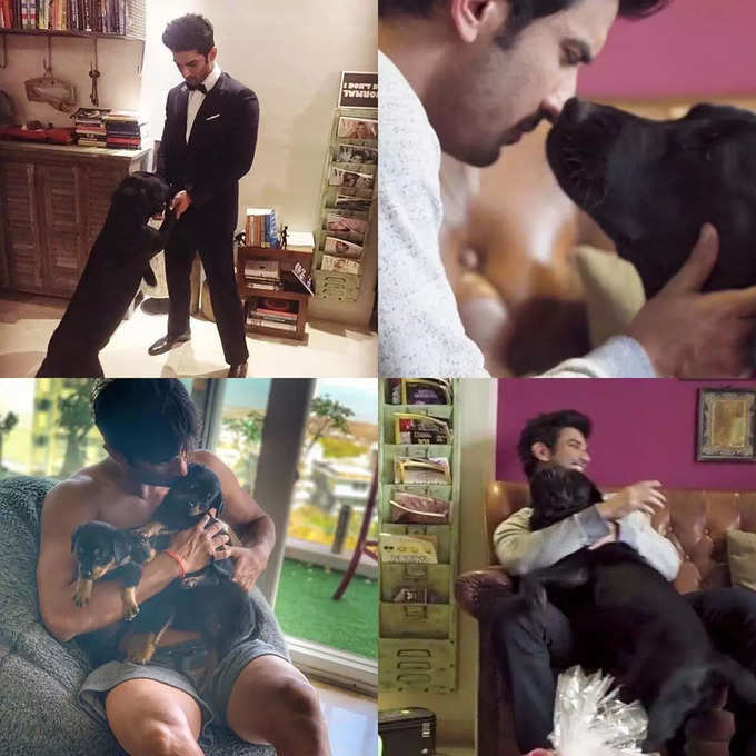 sushant rajput dog fudge