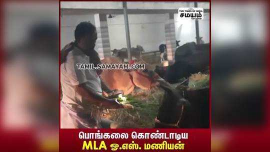 பொங்கலை கொண்டாடிய MLA ஓ.எஸ். மணியன்