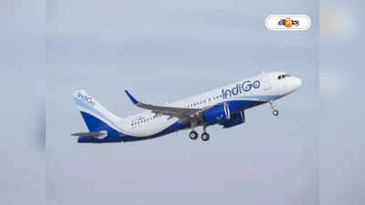 IndiGo Flight: মাঝ আকাশে এমার্জেন্সি গেট ‘খুললেন’ যাত্রী! ইন্ডিগোর বিমানে আজব কাণ্ড