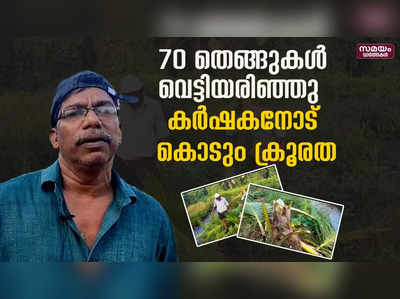 കൃഷിയിടത്തിലെ 68 തെങ്ങിൻ തൈകൾ വെട്ടി നശിപ്പിച്ചു