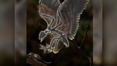 Fossil Found News: डायनासोर का सिर, चिड़िया का धड़... चीन में मिला 16 करोड़ साल पुराना रहस्यमय जीव