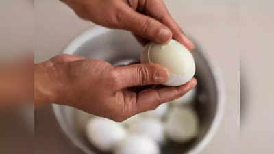 Maharashtra news: हर दिन एक करोड़ अंडों की कमी का सामना कर रहा महाराष्ट्र, ऐसे निपटेगी सरकार