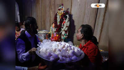 Kolkata Famous Temple: হাঁসের ডিমেই তুষ্ট বুড়িমা, হয় বিশেষ পুজো! জানুন কলকাতার বনদুর্গার কাহিনি