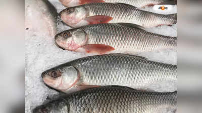 Asansol News : মাছ পড়ল পাতে, মুখে পড়ল সোনা