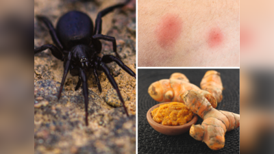 Spider Bites: ज्यादा लार बहना, सूजी आंखें ये हैं मकड़ी के काटने के 8 लक्षण, जहर निकालने के लिए तुरंत करें 5 काम