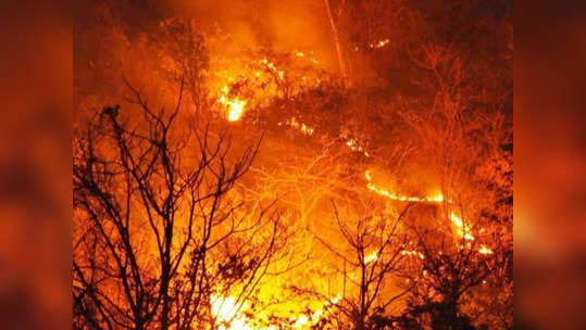 जलवायु परिवर्तन की वजह से हो रहीं आग लगने की खतरनाक घटनाएं