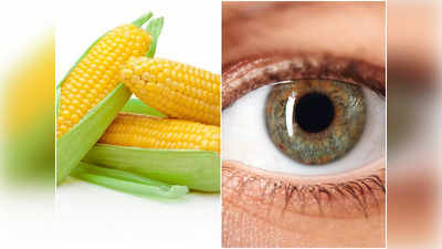 Health Benefits of Corn: স্বাস্থ্যের খাজানা কম পয়সার ভুট্টা, বলে বলে অসুখকে রাখে দূরে