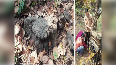 आरे कारशेडजवळ पुरातन मंदिराचे अवशेष? तेराव्या शतकातील मंदिराच्या अवशेषांचा अंदाज