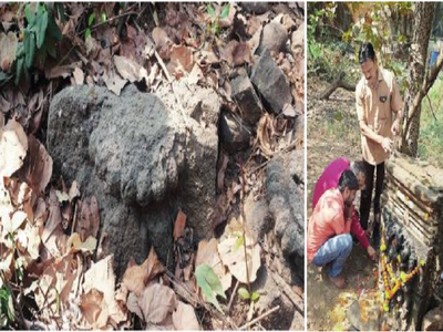 आरे कारशेडजवळ पुरातन मंदिराचे अवशेष? तेराव्या शतकातील मंदिराच्या अवशेषांचा अंदाज