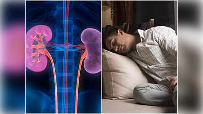 Symptoms of Kidney Disease: শরীরে এই লক্ষণকে একদম হেলাফেলা নয়, ঘাতক কিডনির রোগ হতে পারে বলছেন বিশিষ্ট চিকিৎসক