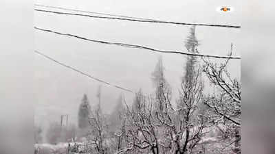 Joshimath Weather : বিপর্যস্ত যোশীমঠে তুষারপাত, আরও বড় সর্বনাশের ইঙ্গিত?