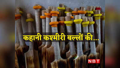 Kashmiri willow bat industry: जिस कश्मीरी विलो बैट से लगा T20 वर्ल्ड कप का सबसे लंबा छक्का, बंद होने वाली है वह क्रिकेट किट इंडस्ट्री