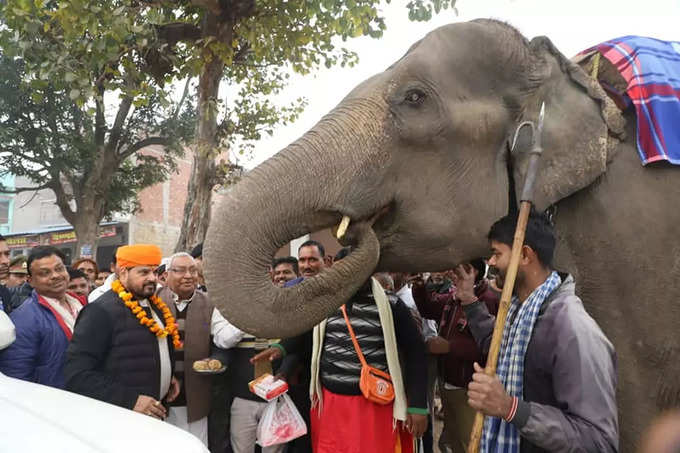 बृजभूषण सिंह दबंग ही नहीं आर्थिक रूप से भी हैं मजबूत