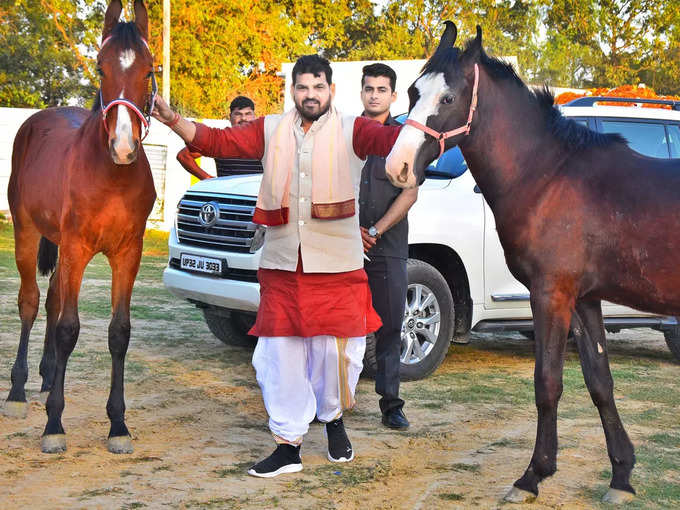 दबंग छवि के नेता हैं बृजभूषण शरण सिंह