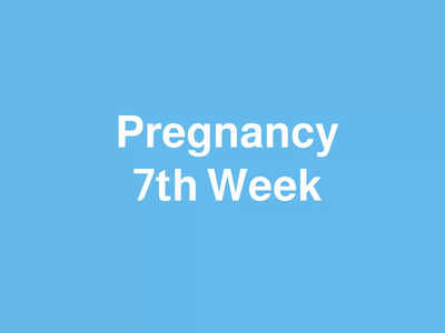 7 Weeks Pregnant: ഏഴാം ആഴ്ചയിലെ പ്രധാന ലക്ഷണങ്ങളും ശ്രദ്ധിക്കേണ്ട കാര്യങ്ങളും ഇതാ...